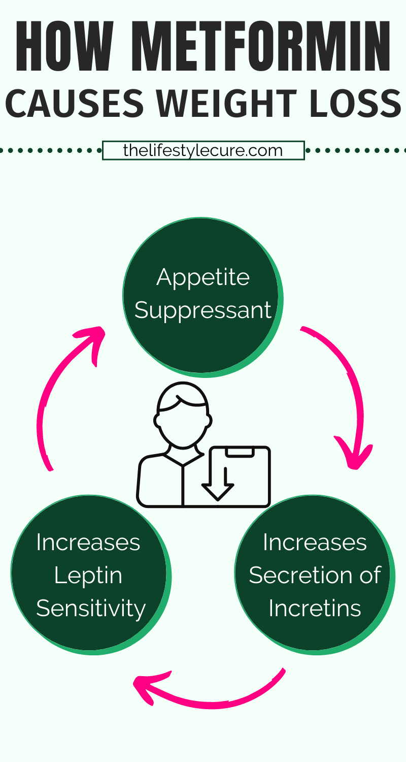 how does metformin work with insulin